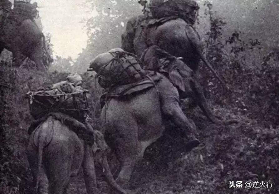 英国人你们听着，你们再不投降，包围你们的日军就要饿死了