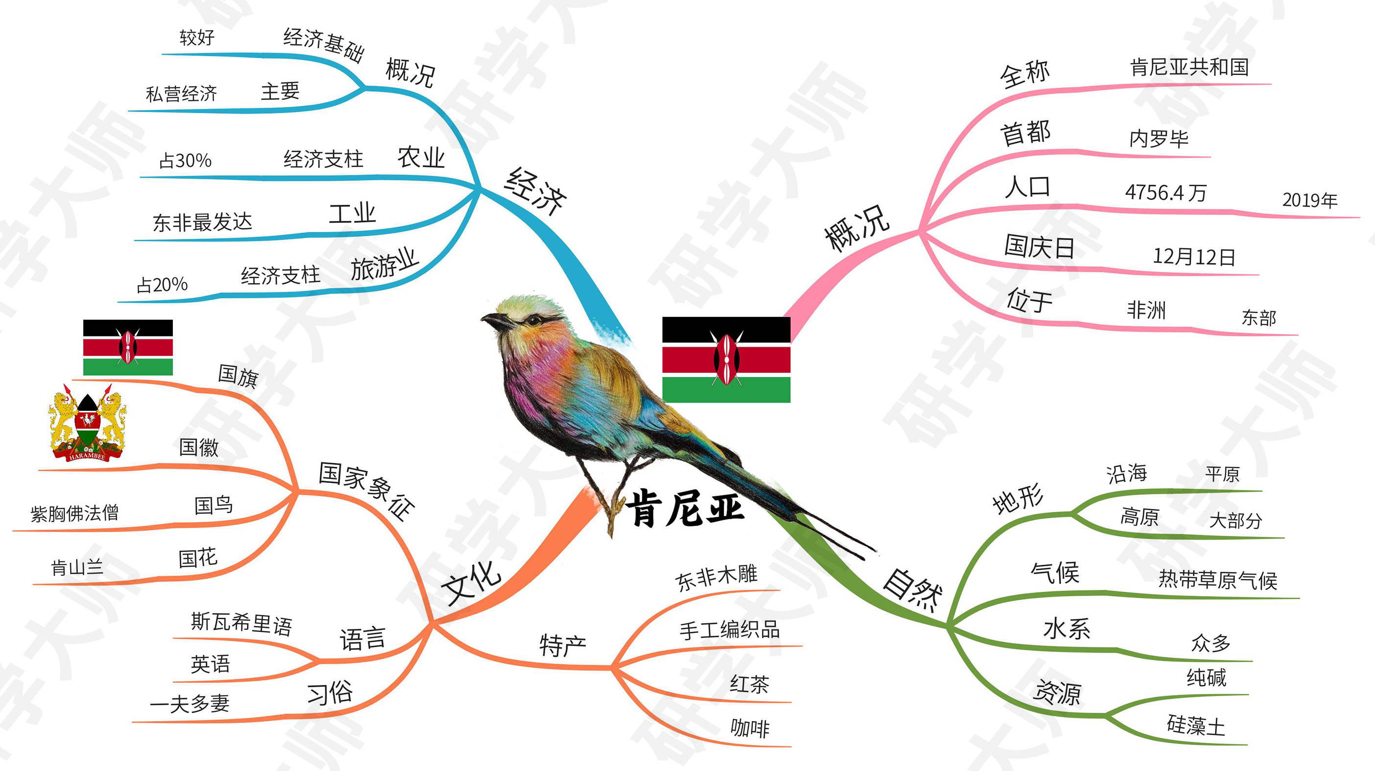 奥运会思维导图最最最简单的,北京冬奥会奥运项目思维导图