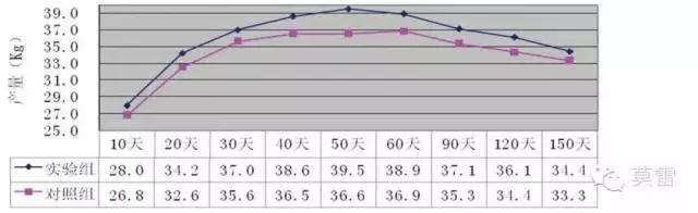 奶牛产后护理及注意事项,奶牛场产后护理如何做