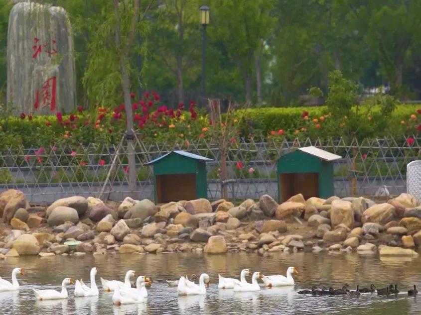 天津医科大学七所直属医院,天津医科大学独立学院是几本