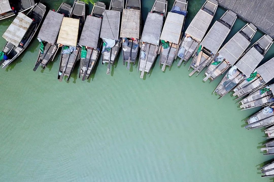 沙家浜旅游推荐,沙家浜夜游都有哪些好玩的