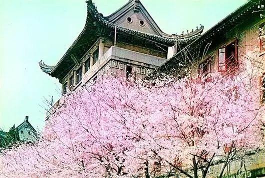 1000万人观看5项托尼奖提名｜忆人生第1次看音乐剧《阿拉丁》