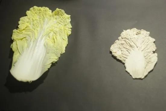 伊顿教育培训中心,伊顿少儿教育