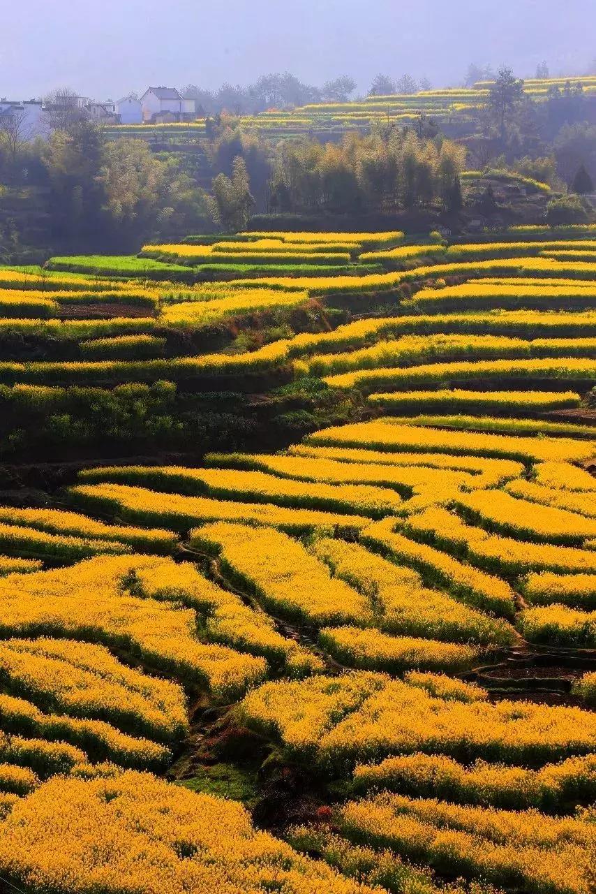 一个徽州惊艳全世界,徽州凭什么惊艳世界