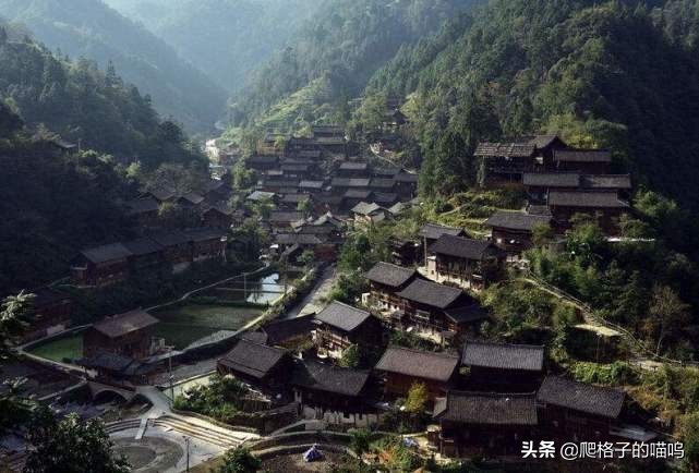 小说中蛊是一种什么形态,金庸小说哪些是真实存在的