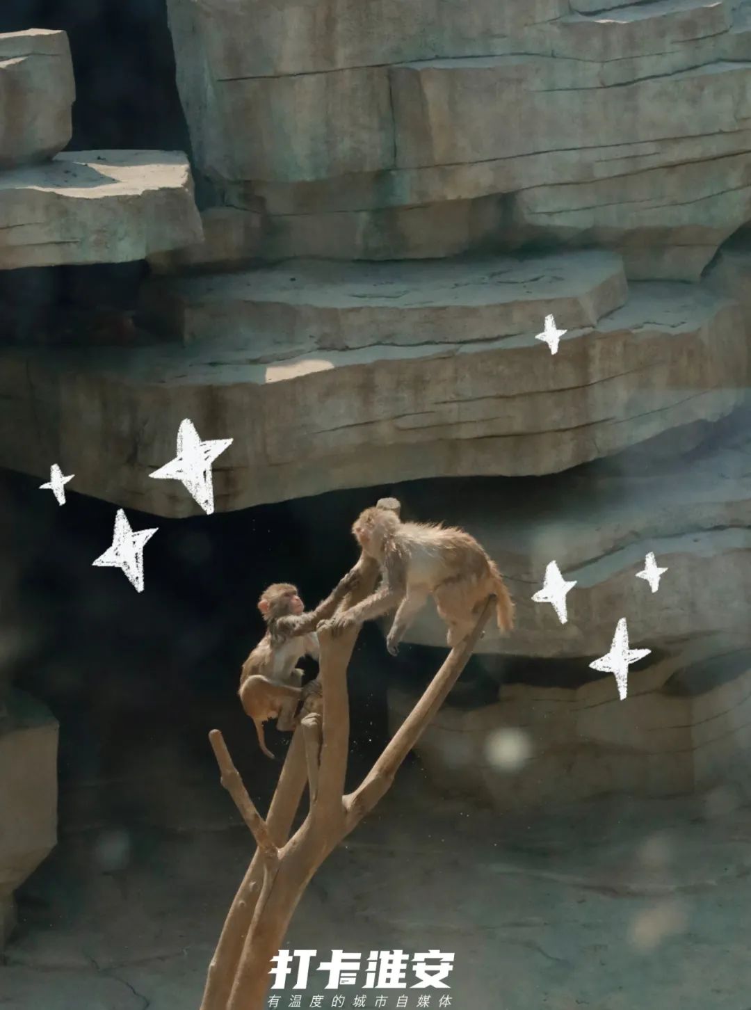 儿童节去儿童乐园,儿童节去公园玩