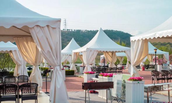 来自大草原的美食之旅,吃大草原上的美食