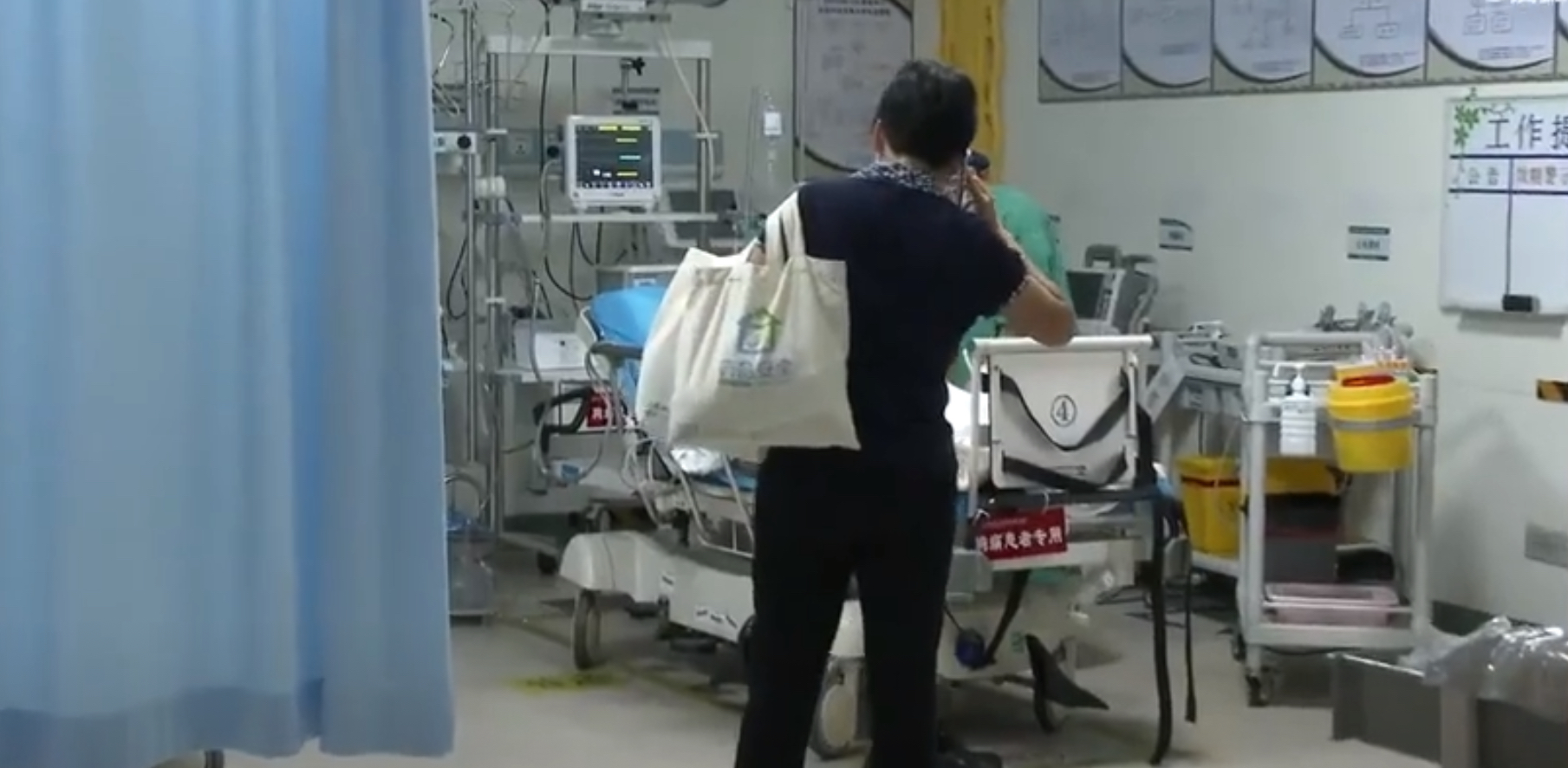 被马蜂蛰伤就医,被马蜂蛰伤休克