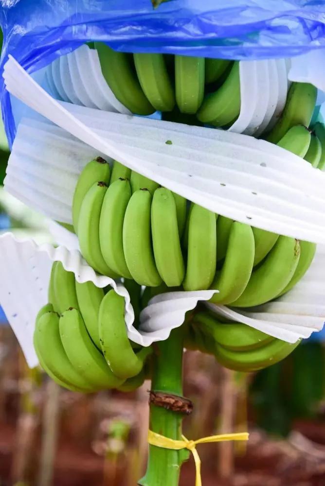 当丰收节遇上中秋节,当中秋节遇上教师节美食