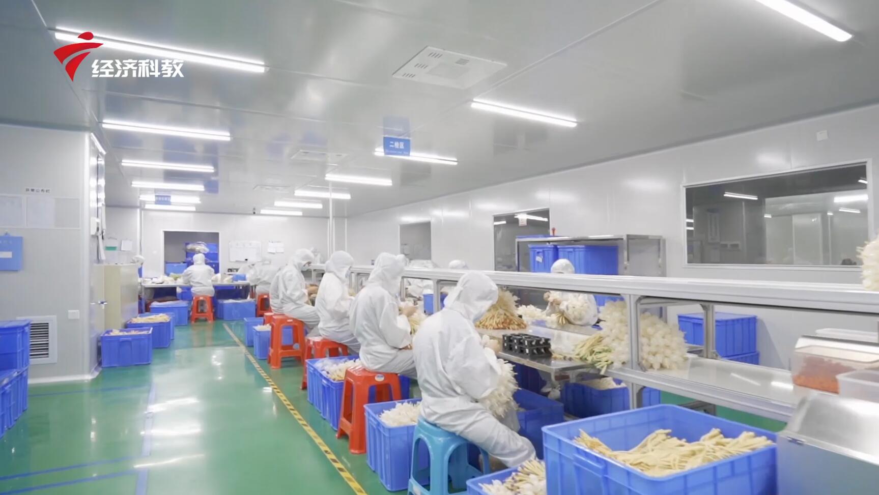 广东新焦点直播,广东电视台新焦点