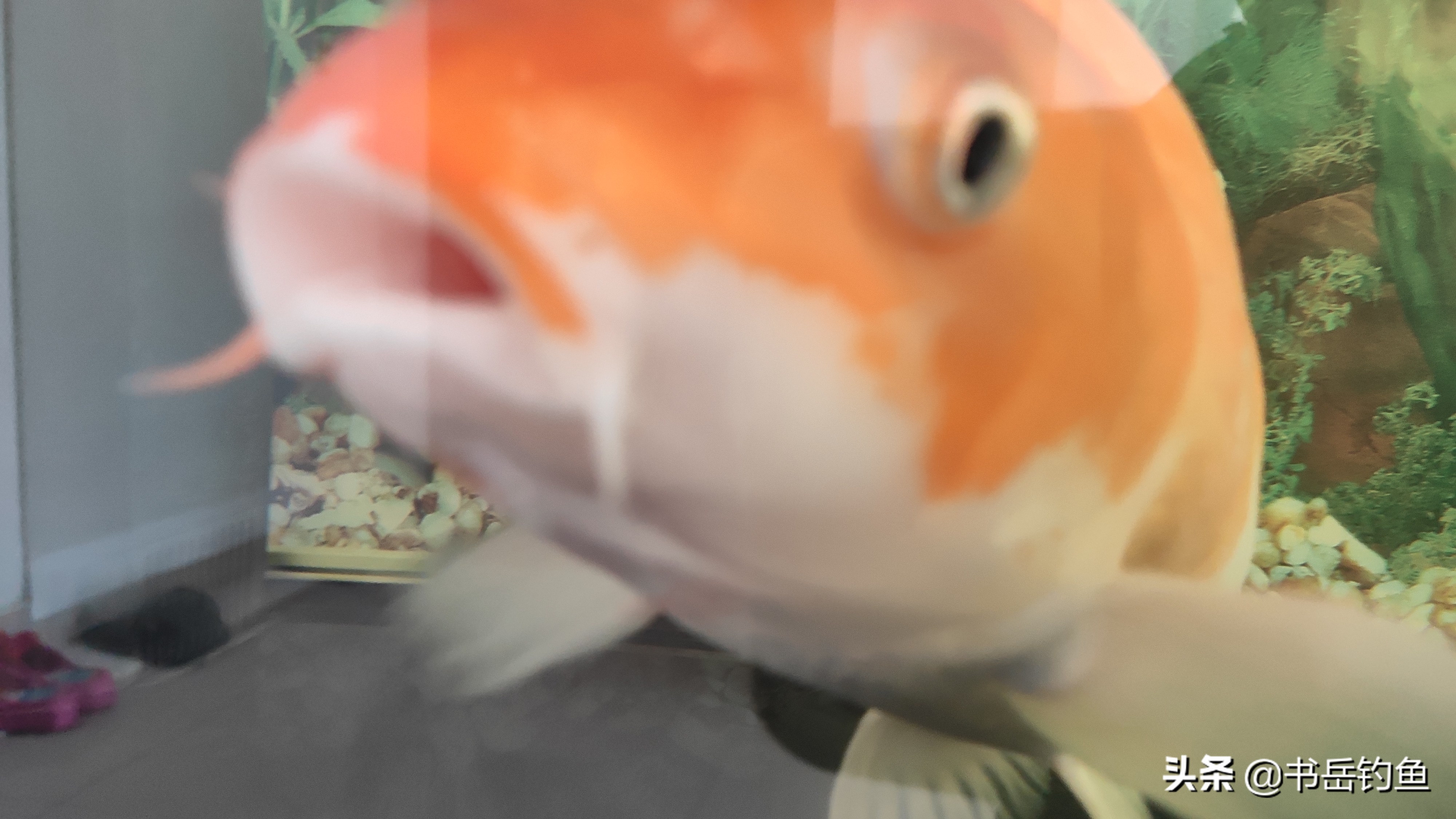 绑制鱼钩,绑制鱼钩方法