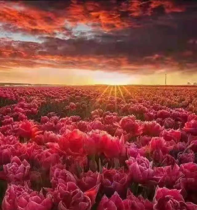 北交所ipo是什么意思,北交所ipo上市条件题库