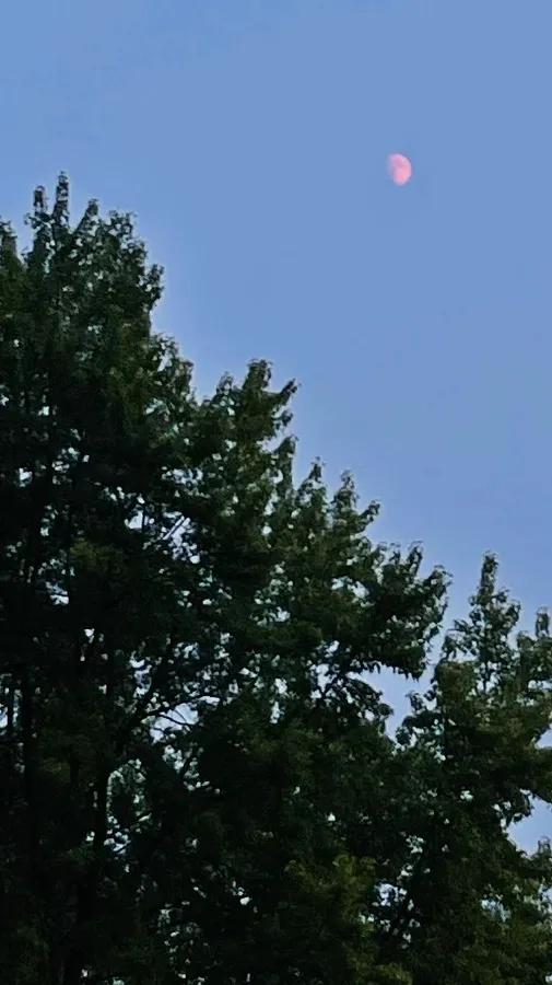 红月奇观,加拿大奇观