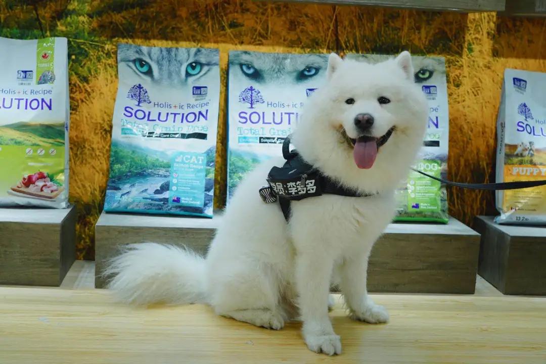 耐吉斯今年亚宠展上做了啥?挤都挤不进