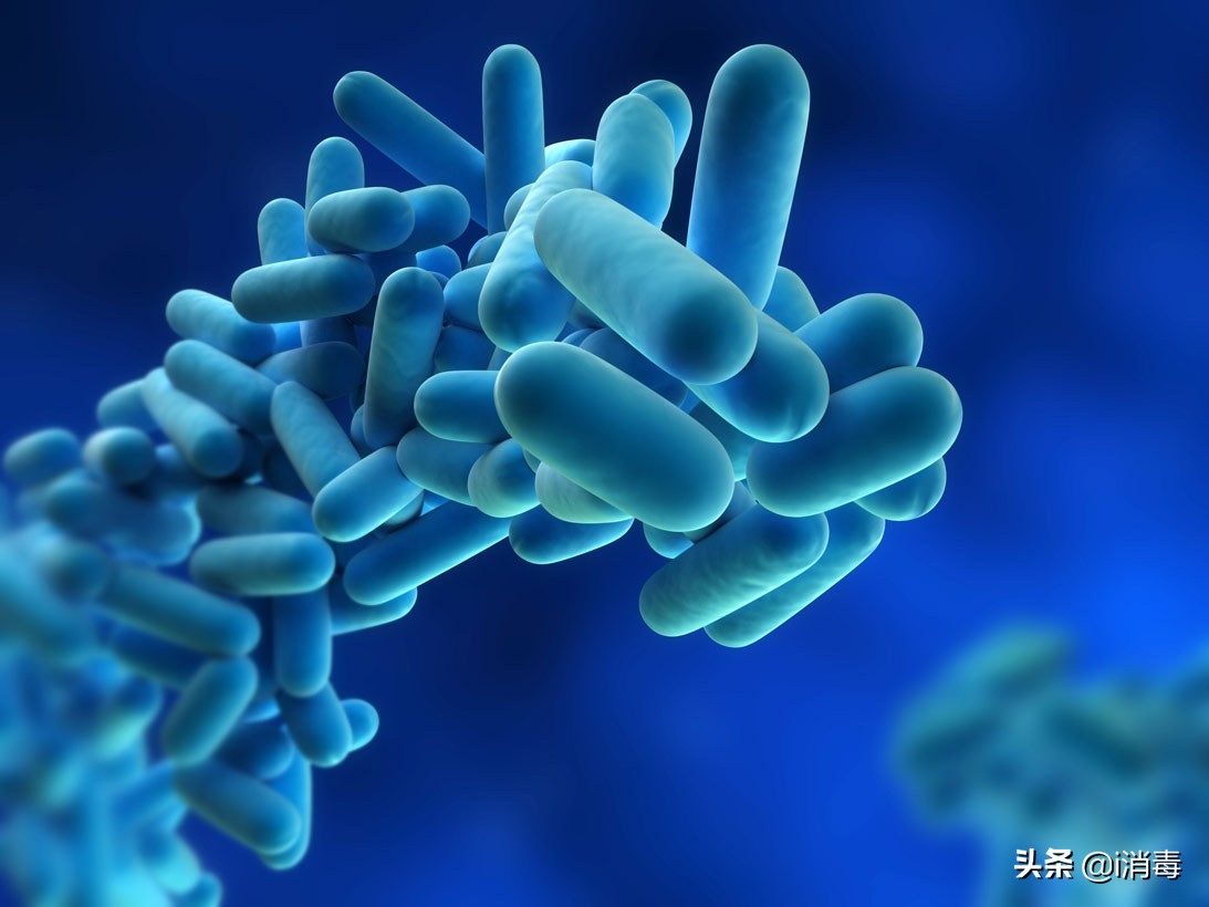 微生物中最好看的微生物,适合用来科普的微生物