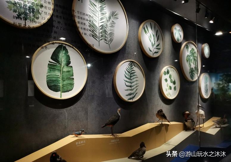 永川吃喝攻略旅游景点,永川旅游攻略推荐