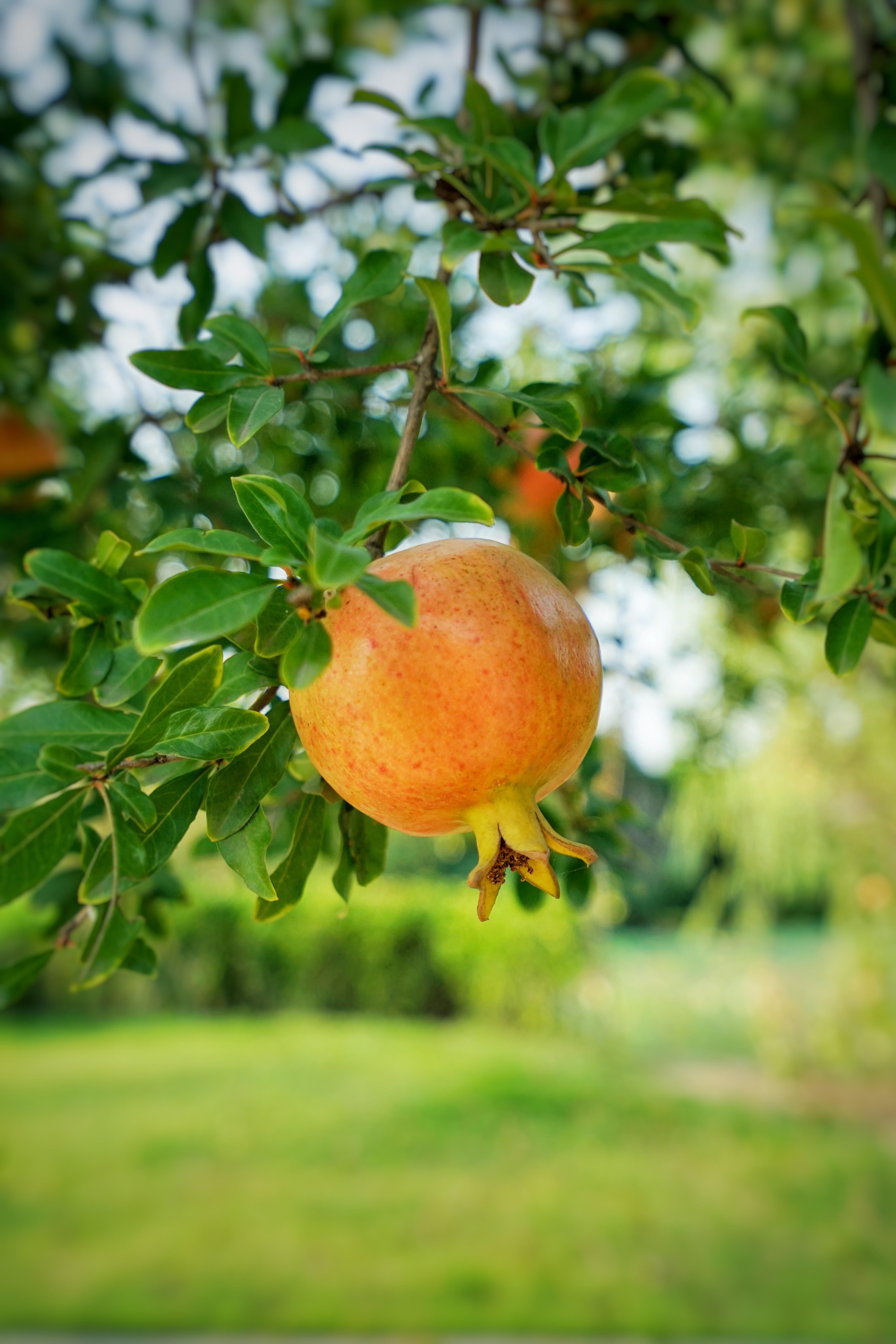 去开封旅游应该住在哪个酒店,开封旅游攻略住的酒店