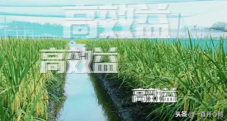 致富经节目现在怎么样了,致富经里的节目真实吗