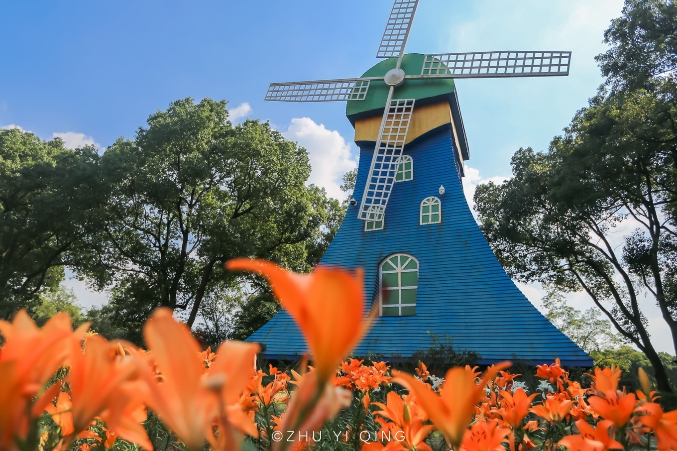 无锡梅园不只能赏梅,初秋近万亩百合花海盛放,小姐姐直呼太美了