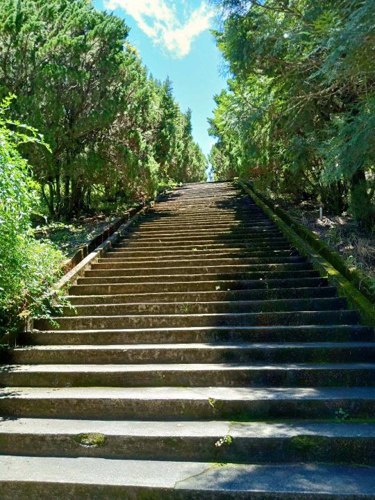 台湾农场冬天旅游攻略,台湾清境农场旅游