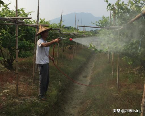 胎盘多肽提高免疫力,多肽增强免疫力效果好吗