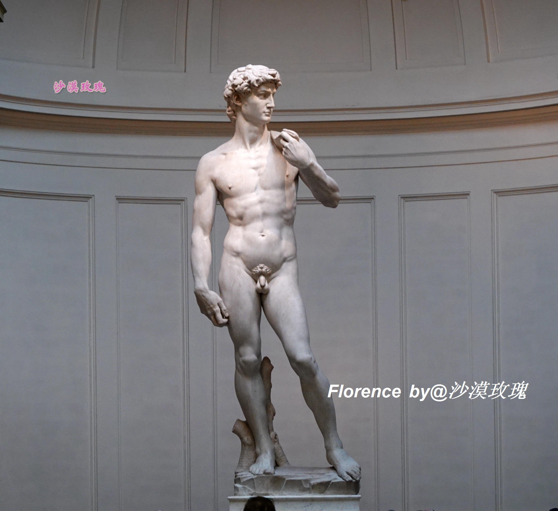 佛罗伦萨文艺复兴景点,佛罗伦萨浪漫艺术之旅