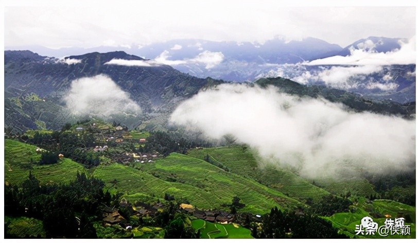 工作分析结果应用案例,工作分析方案案例