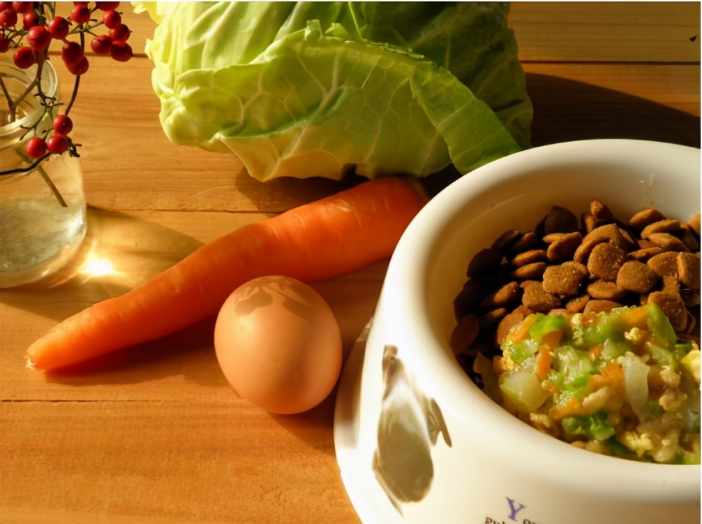 为什么狗狗不能吃盐,狗狗到底能不能吃咸的食物