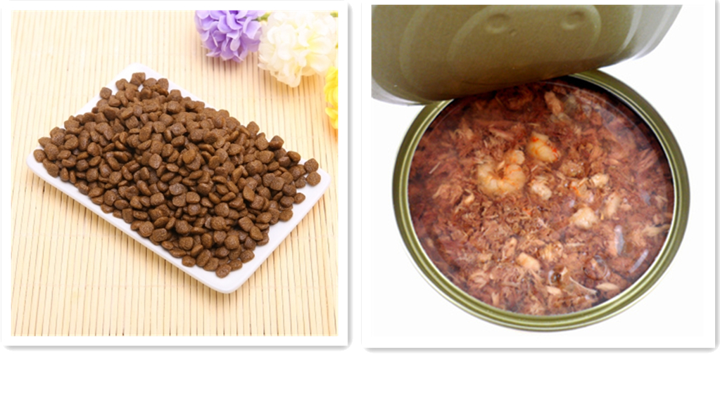 猫咪黑下巴会传染给别的猫吗,猫咪黑下巴是什么原因引起