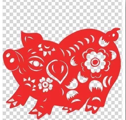 从丁亥到己亥—武昌水果湖中学六六届高三（1）班同学聚会本命年