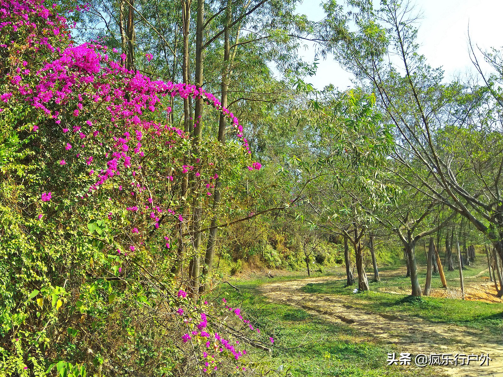 天幕露营地推荐广东佛山,广东佛山自带帐篷的露营地