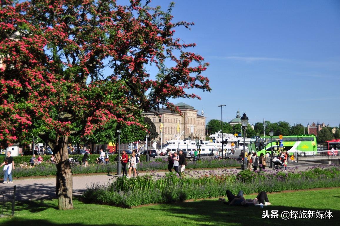 瑞典中国游客被打真实情况,中国游客在瑞典被执法吗