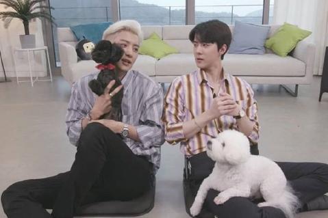 朴灿烈吴世勋关系分析,朴灿烈多芬吴世勋