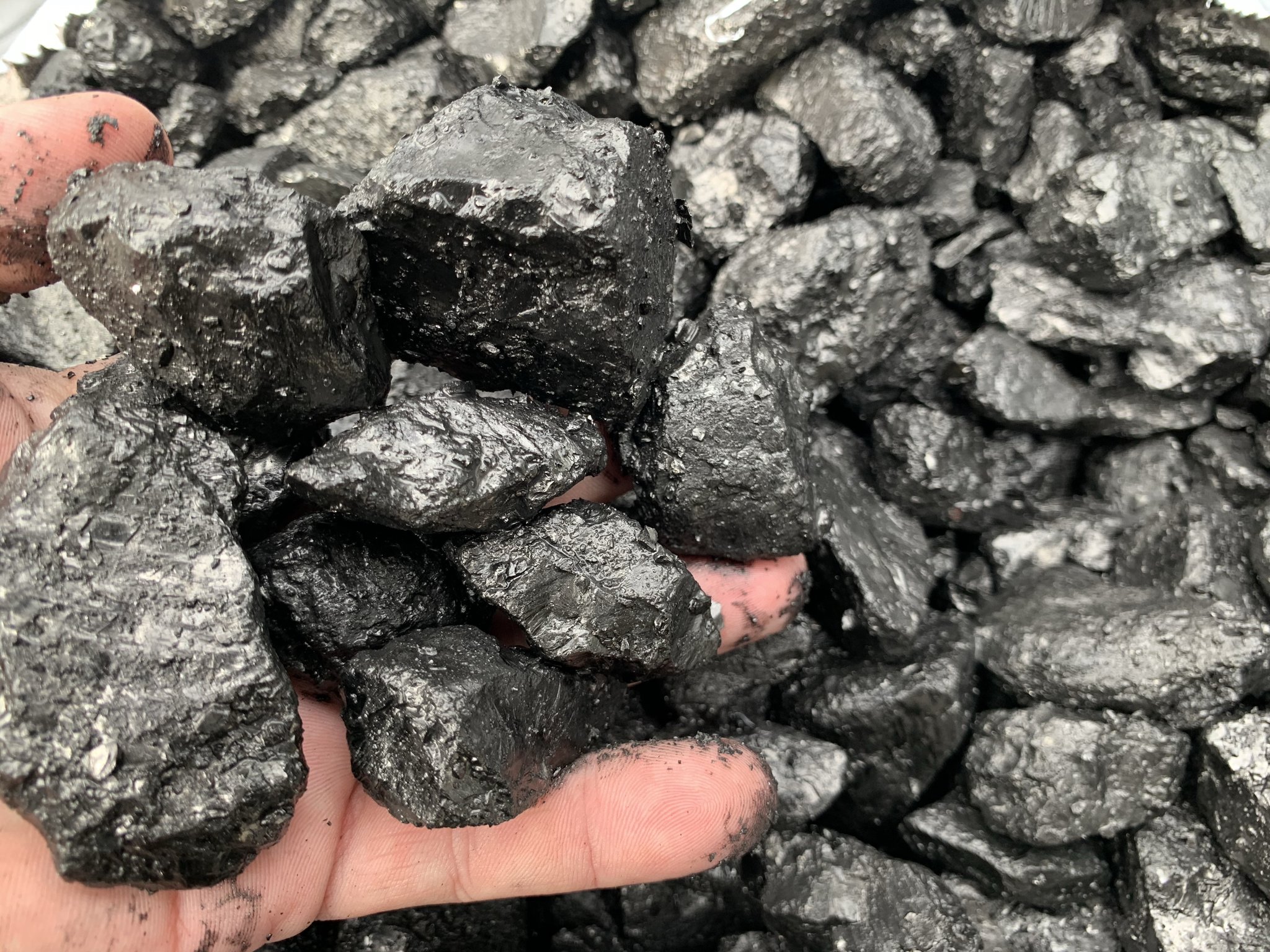 煤炭提降对煤炭价格的影响,煤炭价格上涨导致发电成本高