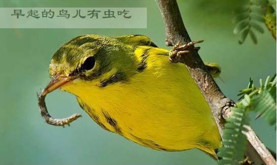 孩子懒惰怎么用经历改变,孩子懒惰有什么出路