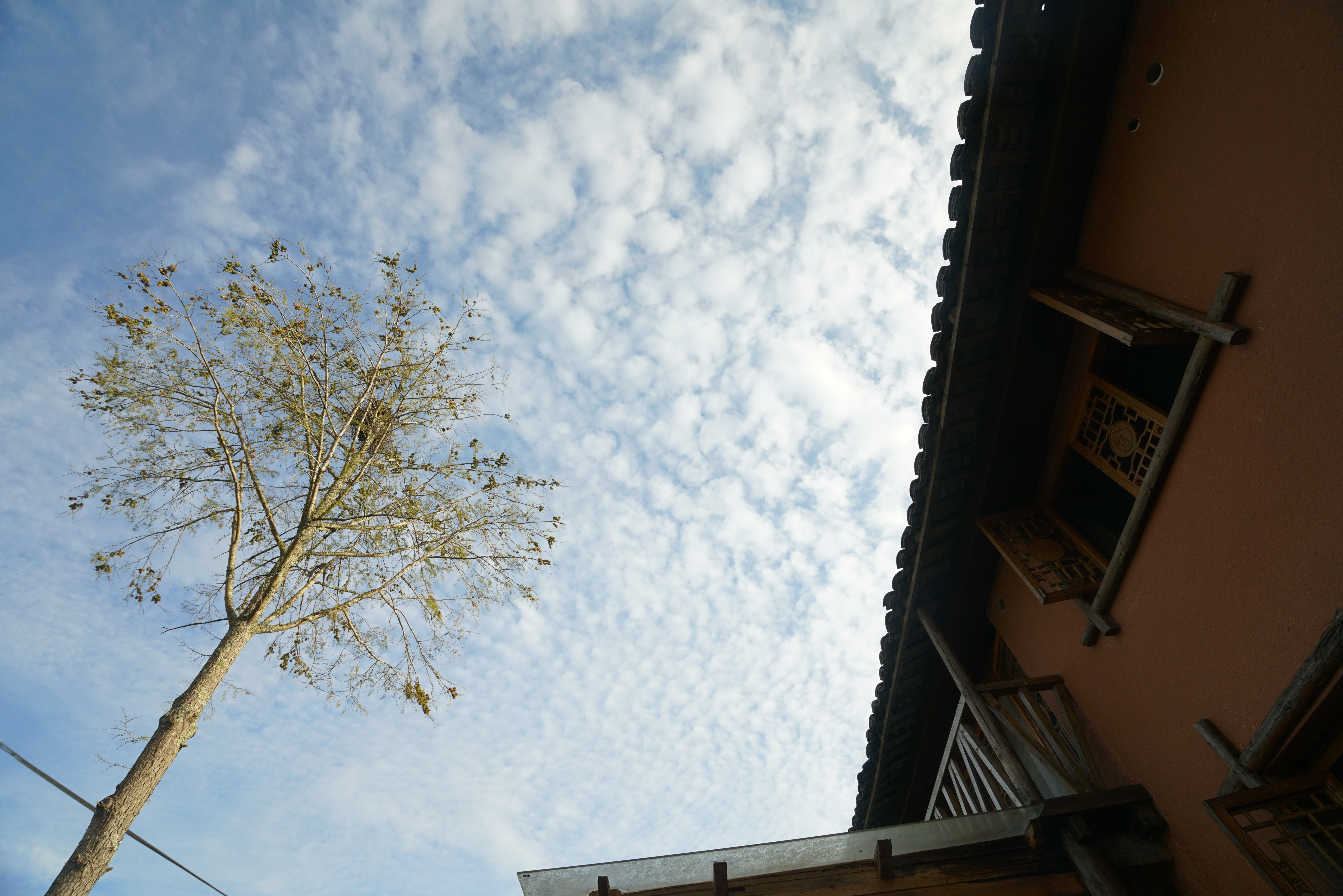 温州市红色旅游景点,温州最火的旅游区景点