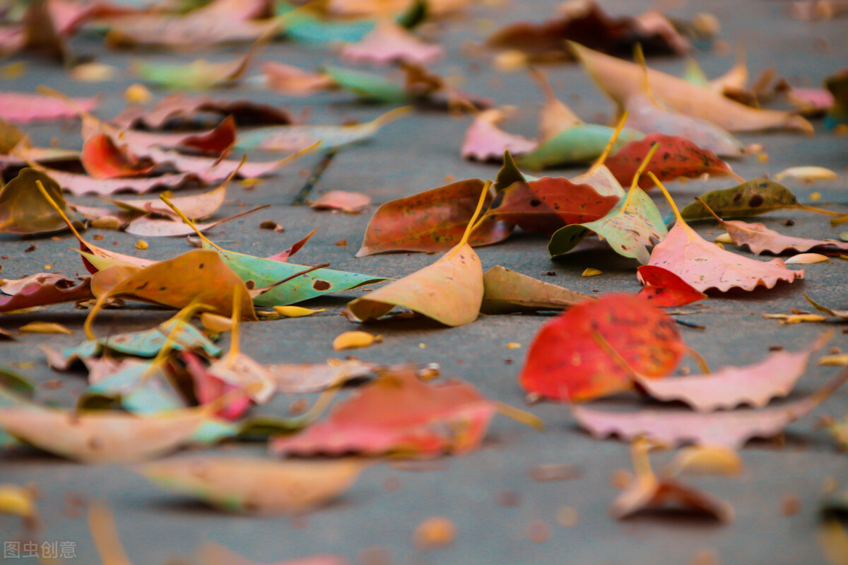 涓嶈礋鐩搁亣涓嶆喚绂诲埆,涓嶈礋閬囪涓嶆喚浣欑敓