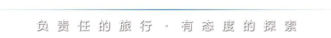 贫穷且性感，解锁“亚文化之都”的小众体验