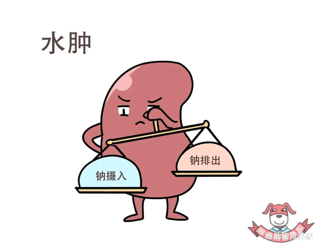 浮肿型肥胖怎么瘦,水肿型肥胖能减多少斤一个月