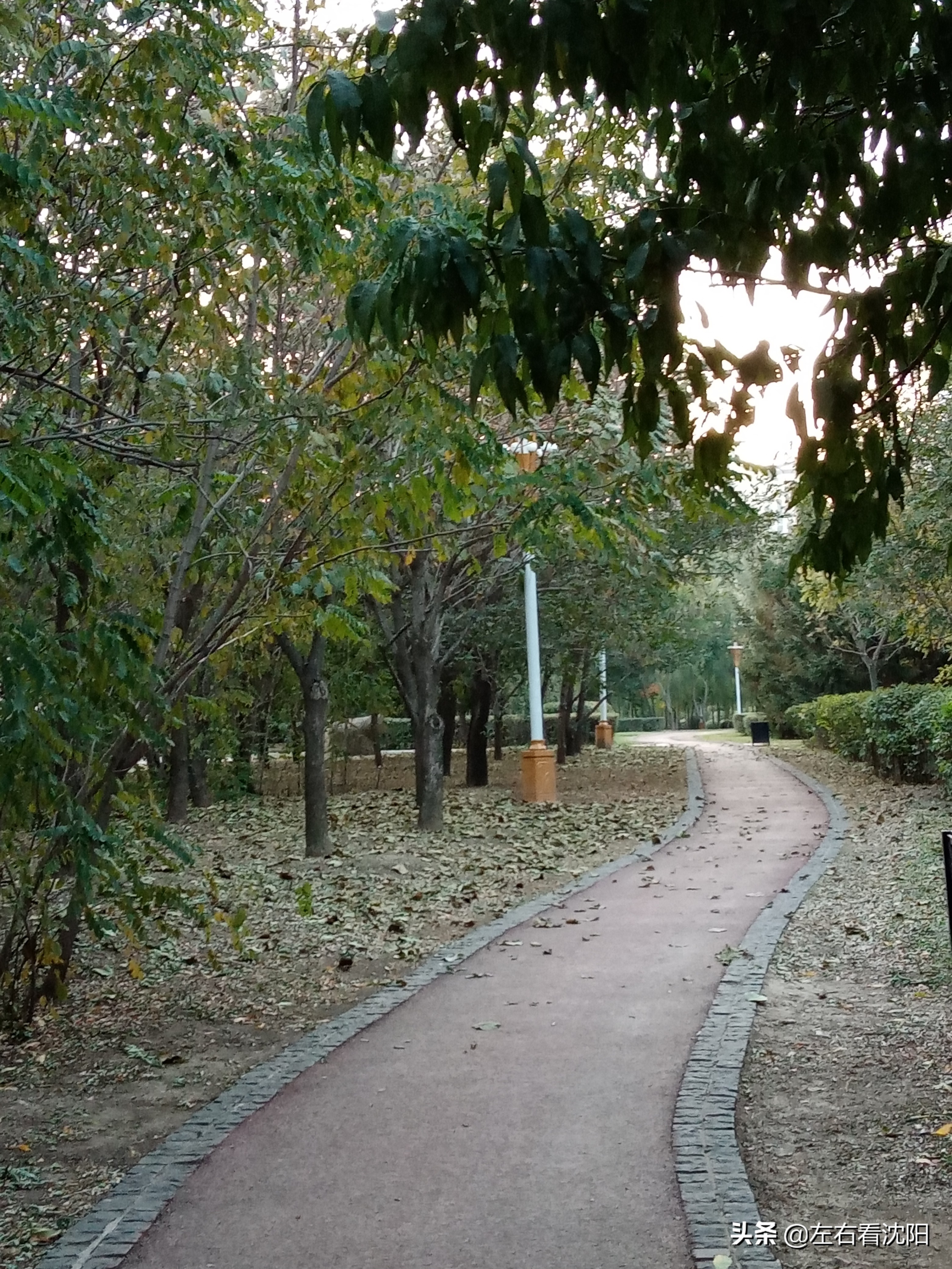 沈阳五里河公园攻略,沈阳五里河公园现在开吗