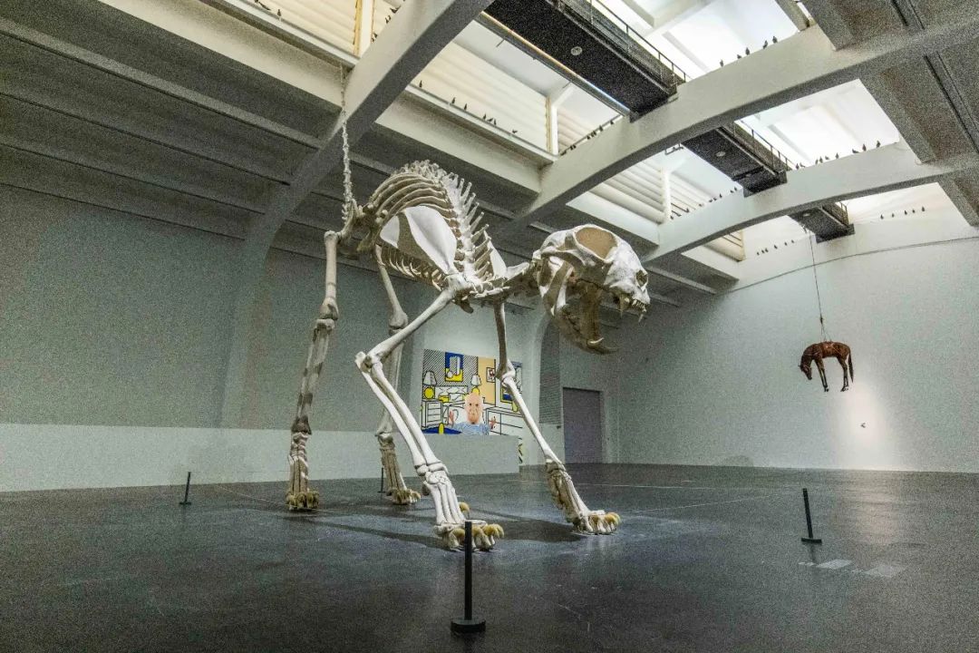 艺术家卡特兰什么实力,卡特兰把一根香蕉粘在墙上