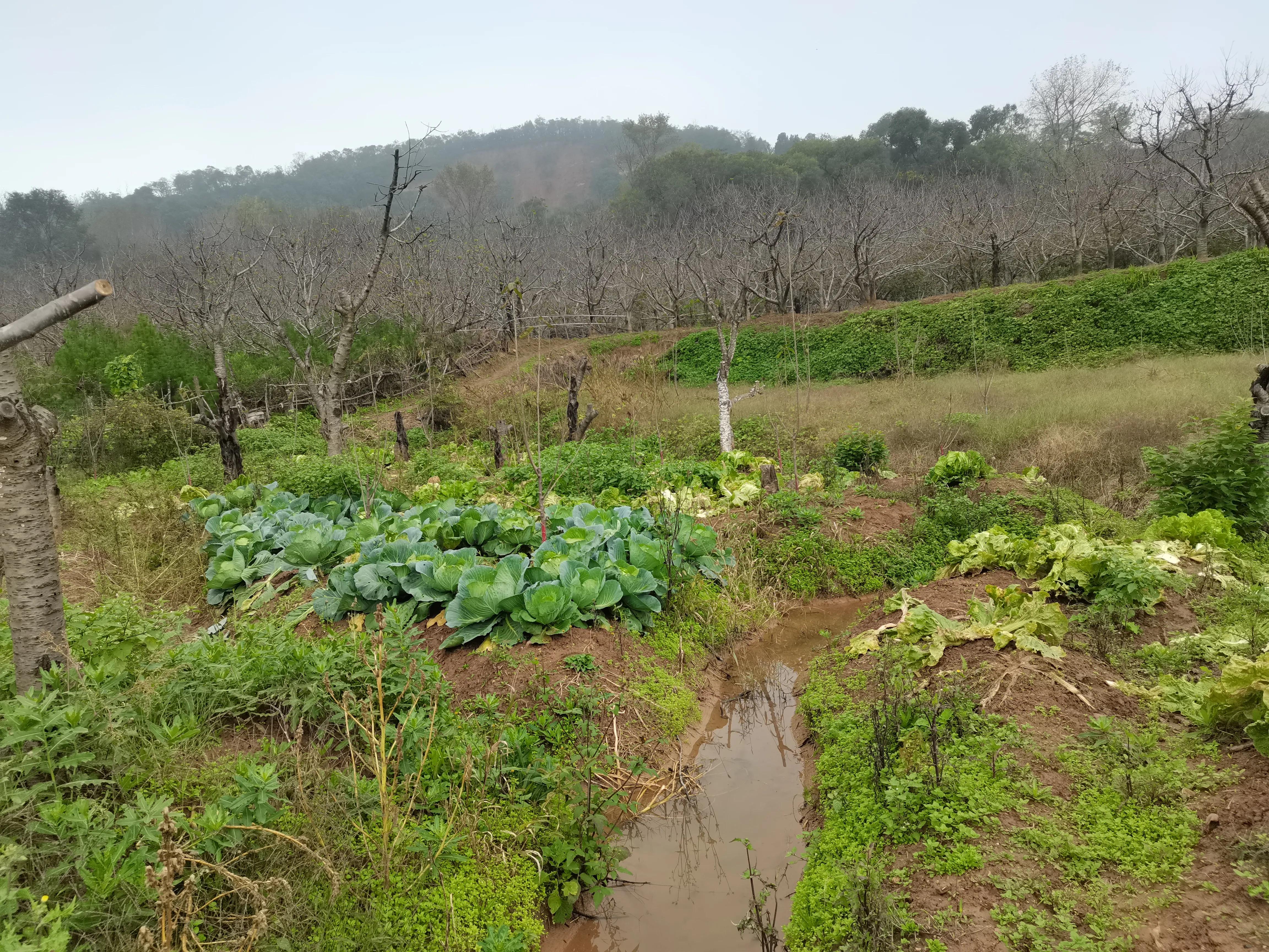 西安洪庆山自驾游路线图,西安洪庆附近旅游景点