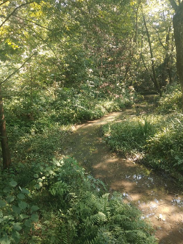 襄阳人苞谷味在臆想中的古隆中卧龙岗居于何地？