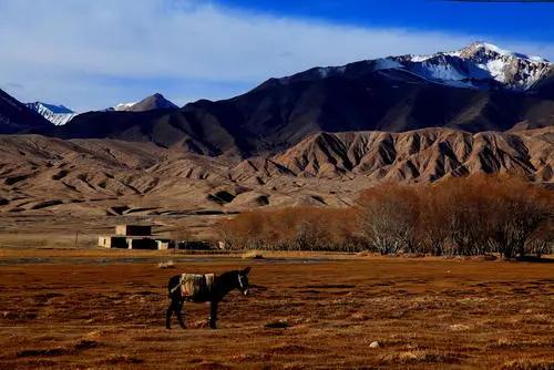 中国地大物博，知道东、南、西、北极在哪里吗？