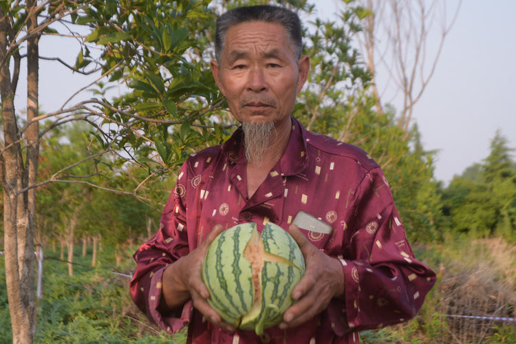 农作物被鸟破坏怎么办,除鸟害最有效方法