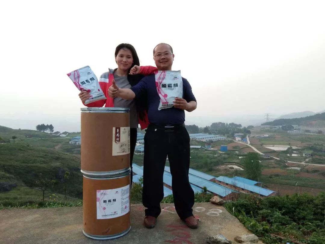 牛羊饲料发霉怎么办,颗粒饲料发霉了还能喂牛羊吗