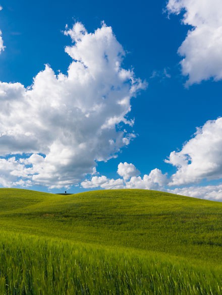 微信怎么设聊天背景,烟花聊天背景图微信