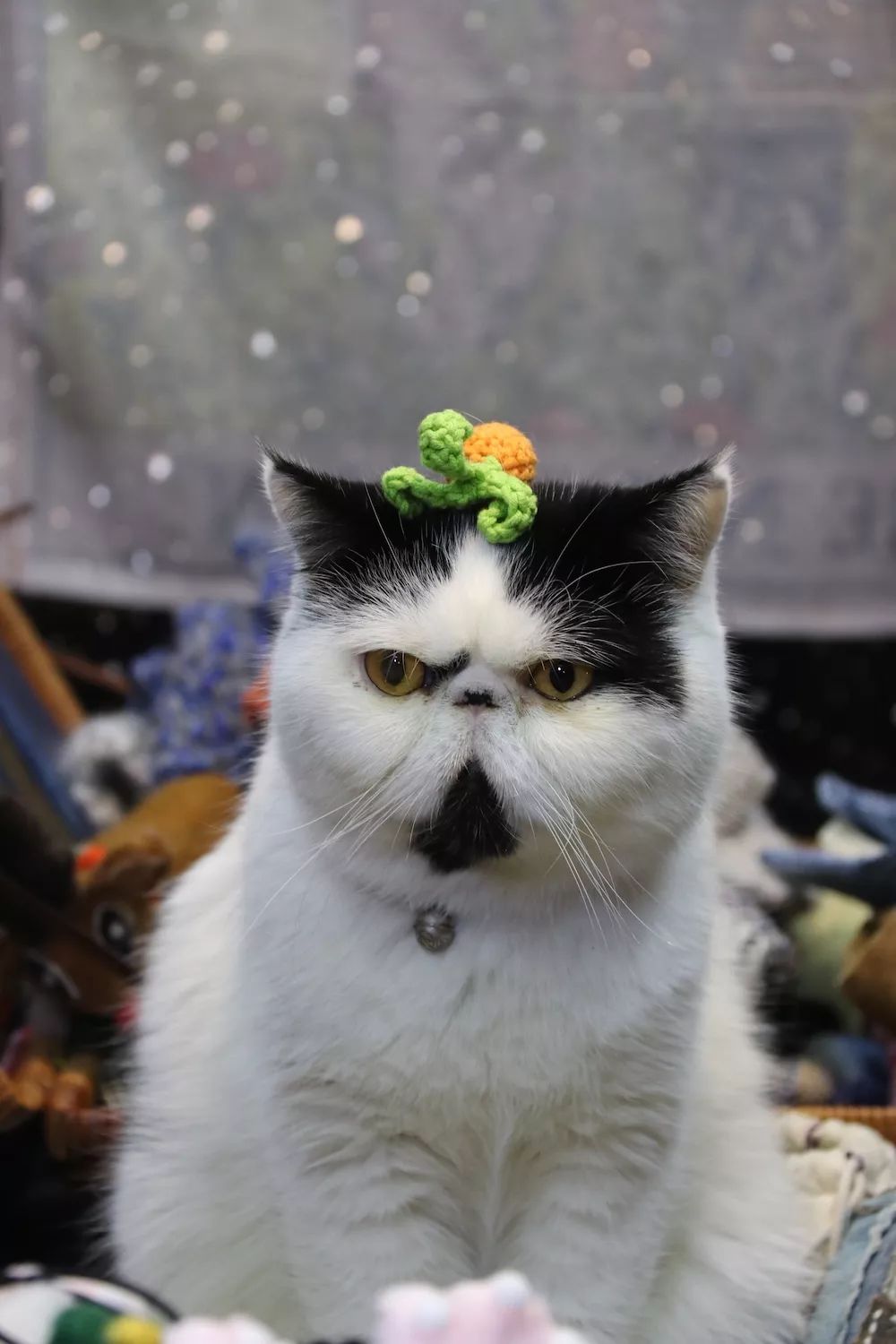 成都夜游攻略大全,成都适合晚上游玩的夜市