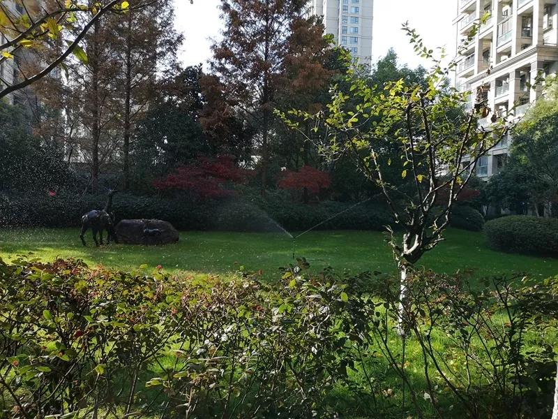 杭州市公安局通报表扬名单,杭州7位好邻居表彰大会