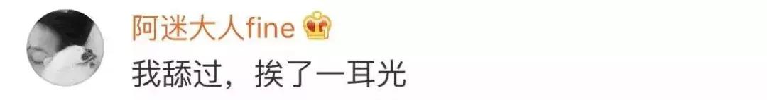 如果舔猫一口猫会怎样,猫猫能舔到全身吗